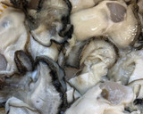 絶品 時短！簡単！ 旨味たっぷり牡蠣大根作り方1写真