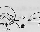 ハムと大葉の春巻き風作り方3写真