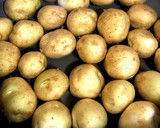 揚げずにできる！新じゃがの煮っころがし作り方2写真