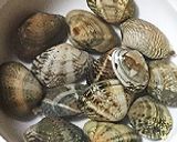 野菜だしで作るボンゴレビアンコ作り方1写真