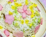 ＊マクロビ＊手づくり紅生姜作り方7写真