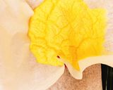 ふわふわ☆彡失敗なしのオムライス作り方13写真