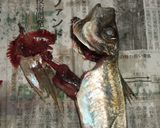 小鯵の南蛮漬♪レモン&パセリ&クレソル♪作り方3写真