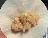 キャーベツッ キャベツ キャベツ(餃子)作り方16写真