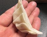 キャーベツッ キャベツ キャベツ(餃子)作り方18写真