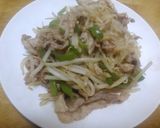 豚ともやしとピーマンの甘辛炒め作り方4写真