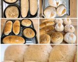 全粒粉手こねちぎり 丸パンレシピ作り方21写真