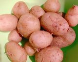 明太子ポテトチーズ作り方2写真