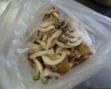 茹で鶏と雪下キャベツの味噌マヨ和え作り方4写真