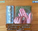 つくねのサラダボウル風作り方5写真