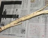 ウドの辛子味噌和え作り方1写真