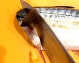 さばの竜田揚げ作り方1写真