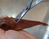 愛知の魚100選　カナガシラの干物作り方5写真