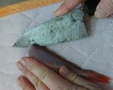 愛知の魚100選　カナガシラの干物作り方9写真