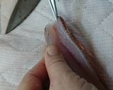 愛知の魚100選　カナガシラの干物作り方10写真