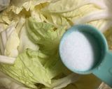 すぐできる白菜キムチ風浅漬け作り方1写真