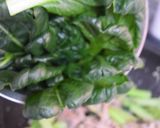 ご飯モリモリ☆ターサイと豚肉の油炒め作り方10写真