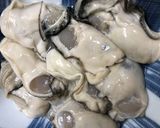 レモン香る牡蠣のオリーブパン粉焼き作り方4写真