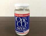 鯖の適当煮付け作り方1写真