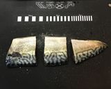 鯖の適当煮付け作り方6写真