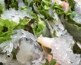 小学生でも出来る❗️ヒラメの生春巻き作り方5写真