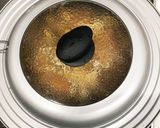 簡単タンドリーチキン風作り方4写真