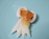 お弁当に★ちくわリボン作り方3写真