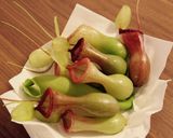 ウツボカズラ飯作り方2写真
