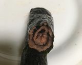 明太子・たらこ海苔巻き作り方2写真
