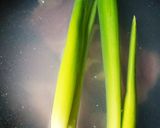 圧力鍋無くてもホロっとろチャーシュー簡単作り方1写真