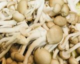 鶏肉ときのこ１パックのクリームシチュー作り方3写真