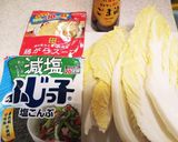 ビニールで簡単シャカシャカ！∞無限白菜∞作り方1写真