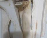 エリンギのおでん作り方1写真