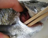 ◆包丁を入れずに腹わた処理◆作り方1写真