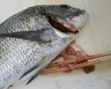 ◆包丁を入れずに腹わた処理◆作り方3写真