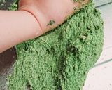 王道★サンマルク風よもぎパン作り方8写真