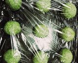 王道★サンマルク風よもぎパン作り方18写真