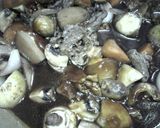 翌日ＯＫ★牛薄切り肉の赤ワイン煮作り方8写真