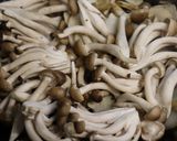 調味料全て同量♪生ひじきシメジ菊芋の煮物作り方2写真