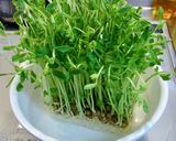 食感を楽しむ♫　豆苗のミモザサラダ風作り方1写真