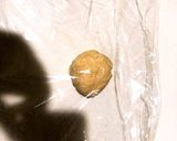 糖質制限!おからラップ!作り方3写真