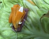 ロールキャベツ ひとくちカツ肉使用作り方2写真