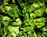 ほうれん草とえのきの和風炒め作り方1写真