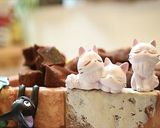 オランジェットの作り方☆バレンタイン作り方9写真