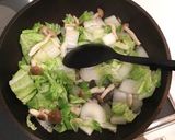 鶏胸肉と白菜のほっこり煮込み♪作り方10写真