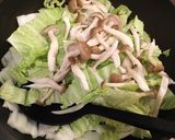 鶏胸肉と白菜のほっこり煮込み♪作り方8写真