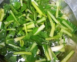 節分に！小松菜の大豆和え作り方5写真