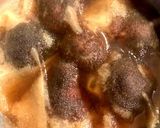 太巻き・ちらし寿司＊かんぴょう煮・椎茸煮作り方9写真