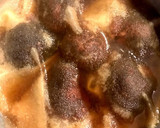 太巻き・ちらし寿司＊かんぴょう煮・椎茸煮作り方9写真