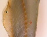 真鱈の燻製珍味、造り方は真鯛の時と一緒!作り方5写真